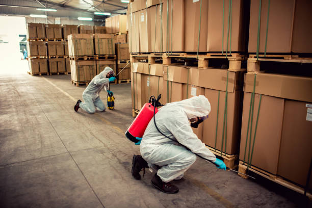 Best Wildlife Control Services  in Dranesville, VA