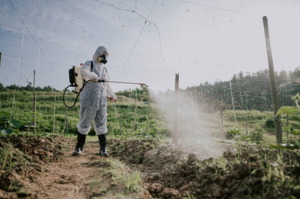 Best Mosquito Control Services  in Dranesville, VA