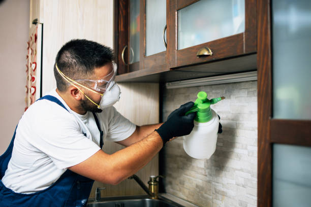 Best Exterminator Services  in Dranesville, VA