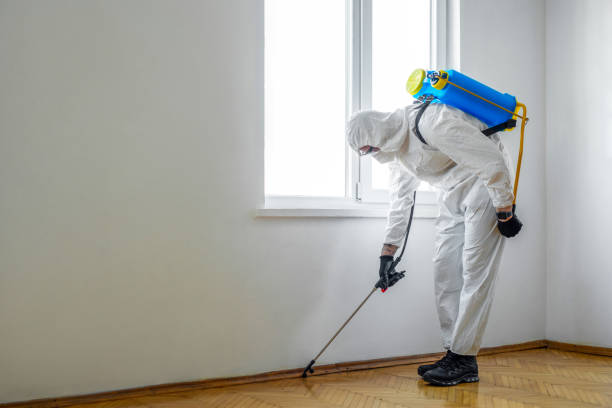 Best Emergency Pest Control  in Dranesville, VA