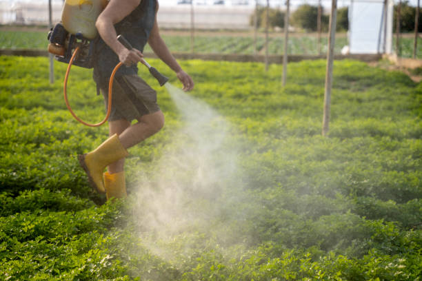 Best Mosquito Control Services  in Dranesville, VA