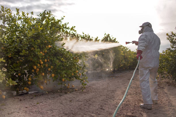 Best Wildlife Control Services  in Dranesville, VA