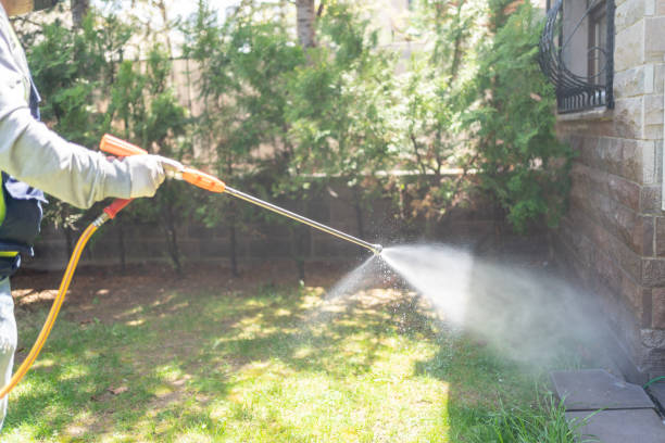 Best Pest Control Near Me in Dranesville, VA
