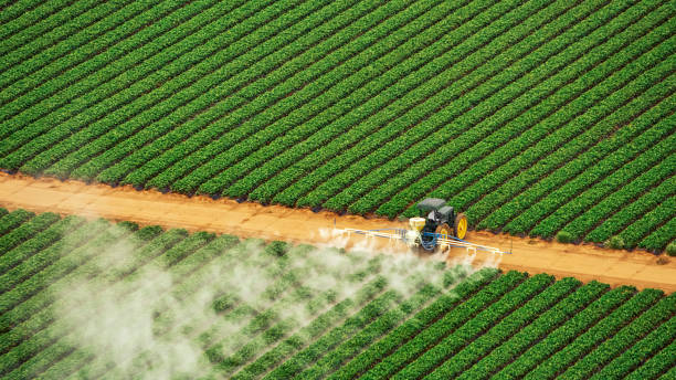 Best Ant Control Services  in Dranesville, VA