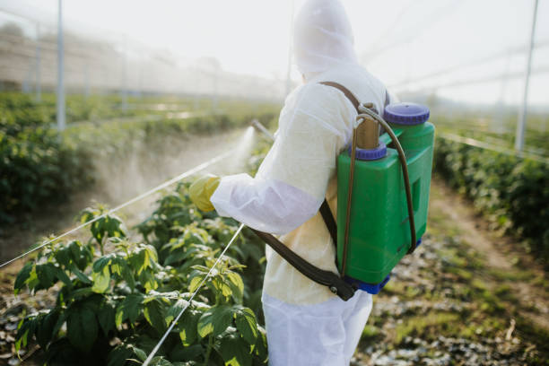 Best Bed Bug Extermination  in Dranesville, VA